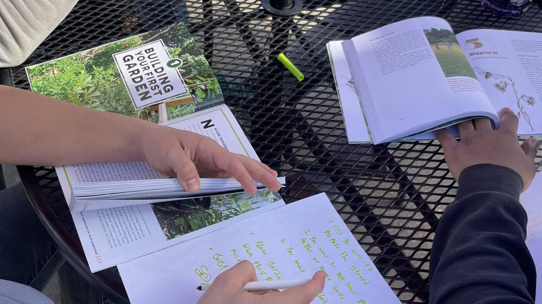 Students study gardening at O Grows