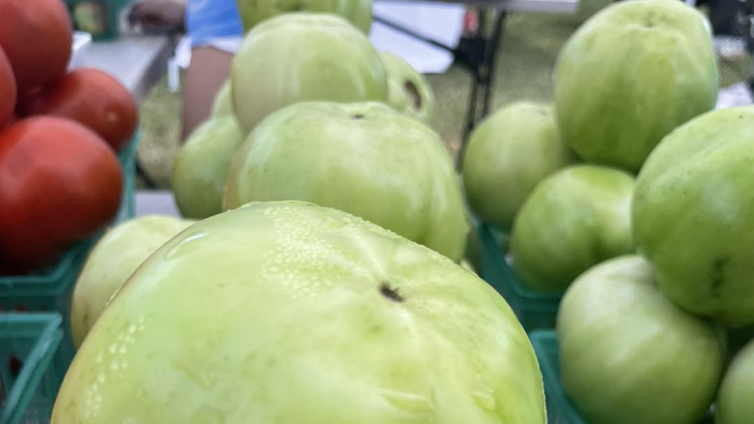 O Grows tomatoes