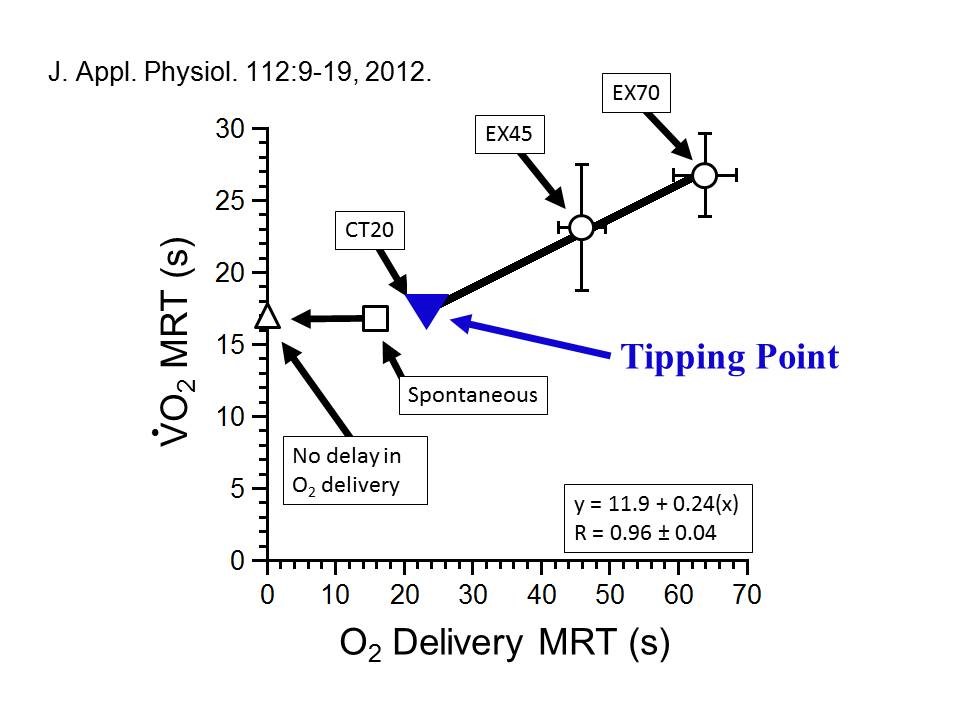 A graph showing V•O2 on-kinetics in isolated canine muscle in situ during slowed convective O2 delivery.